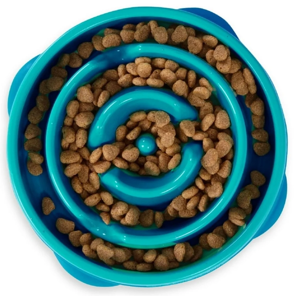Outward Hound Turquoise Small/Medium Pet Dog Slow Feeder Bowl